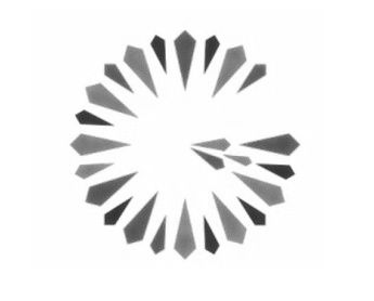 pivotal-geode-logo-bw