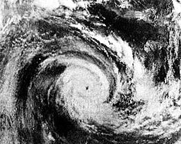 Cyclone