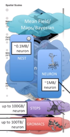 There are already many simulation tools that address different scales or components of the brain. NEST for point neurons, NEURON for structured neurons and ion channels, and at the molecular level, GROMACS. But as one might imagine, the memory alone needed to describe a neuron is vastly different. The goal is to run simulations with as much data as possible at the cellular level (for most approaches) but of course, this leads to scalability issues of the computational variety. Weak scaling for problems like this are going to hit a limit.