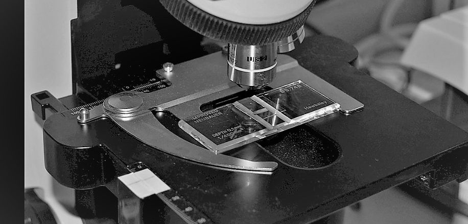 microscope-slide-logo-bw