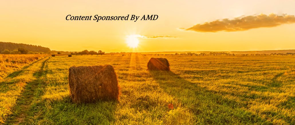 amd-hay-sunshine-logo